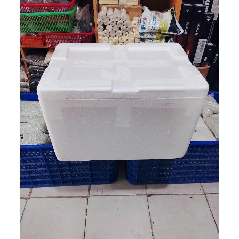 Box Styrofoam Gg // Bekas 1 Kali Pakai // 52X37X34 // Tempat Penyimpanan Makanan // Kirim Ikan // Ki