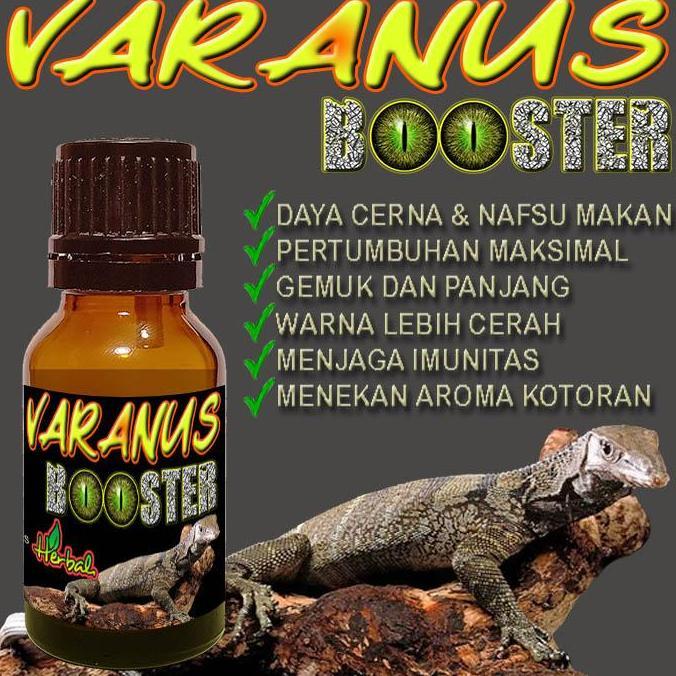 VARANUS BOOSTER VITAMIN BIAWAK SALVATOR VARANNUS SAVMON LIZARD SAVANNAH MONITOR KADAL OBAT PENAMBAH 
