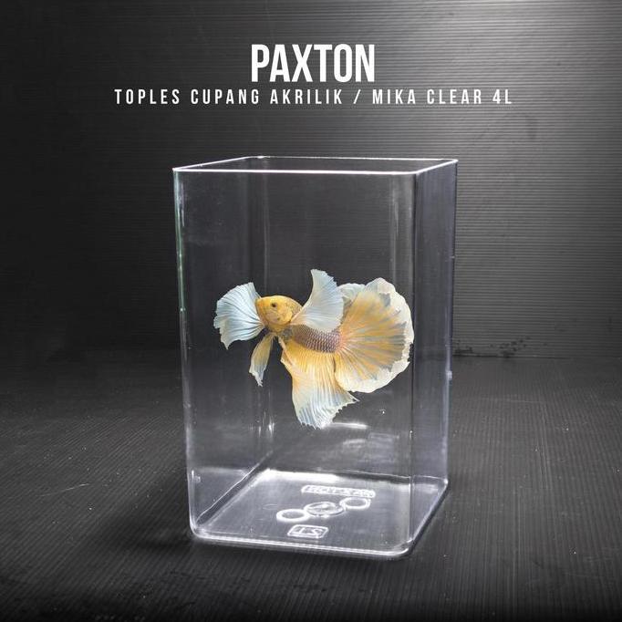 Toples Cupang 4 Liter Paxton / Toples Akrilik Mika 4L