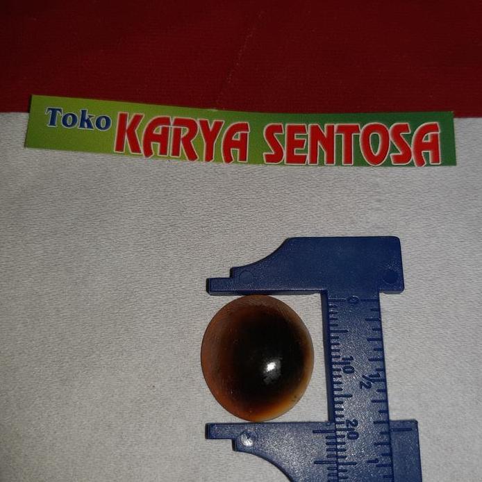 keong buntet alam