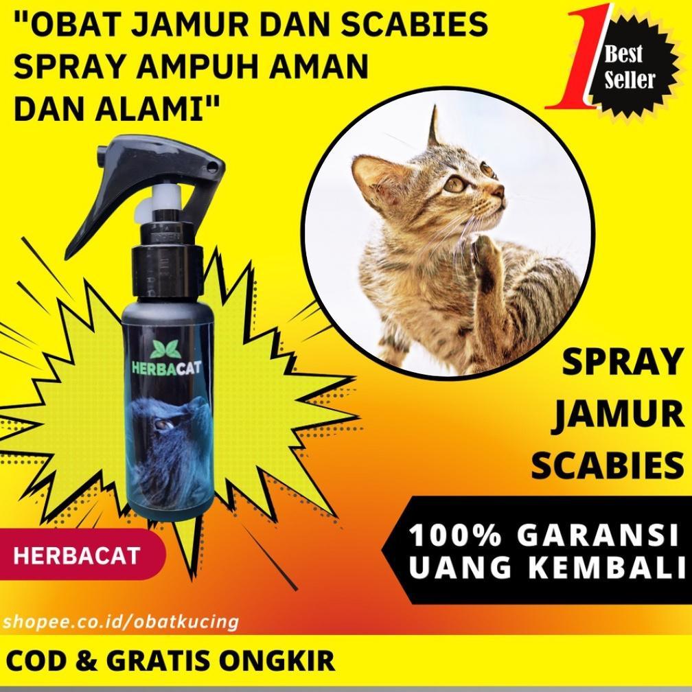 Spray Jamur Kucing Obat Jamur Scabies Kucing Alami Diskon