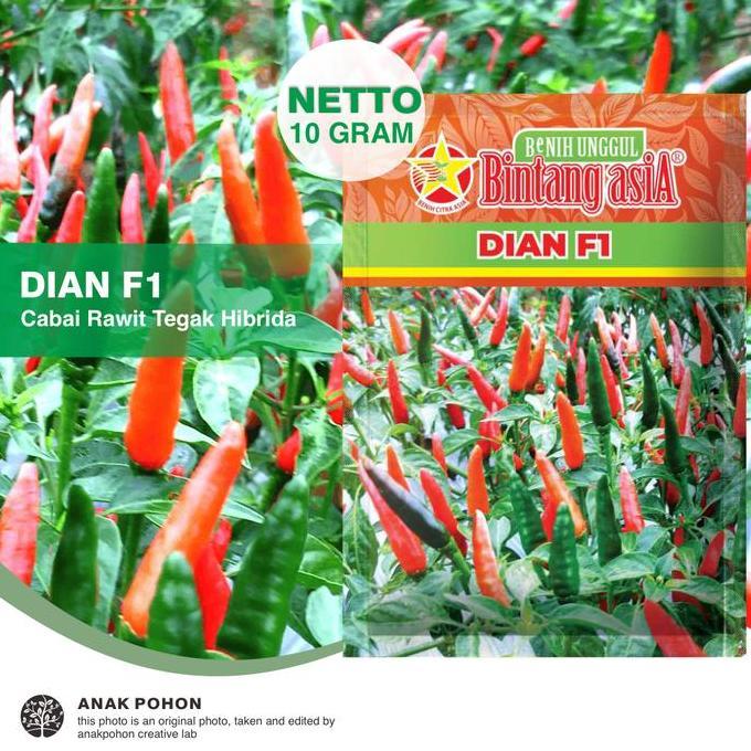 ready (1 PACK) Benih Cabai Rawit DIAN F1 Cabe Tipe Tegak Lebat Genjah Hibrida Seeds - Bintang Asia -