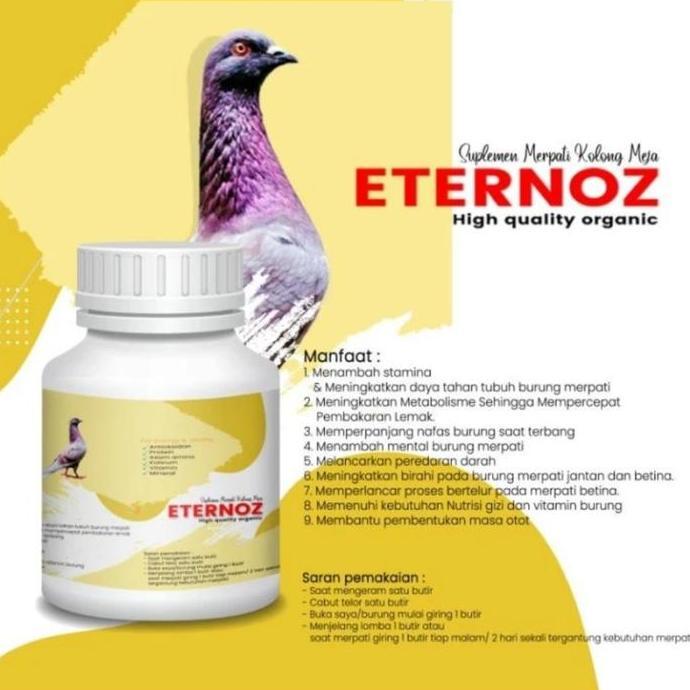 JAMU MERPATI ETERNOZ KUNING PUTIH BURUNG SPRINT MANUVER BURUNG MERPATI