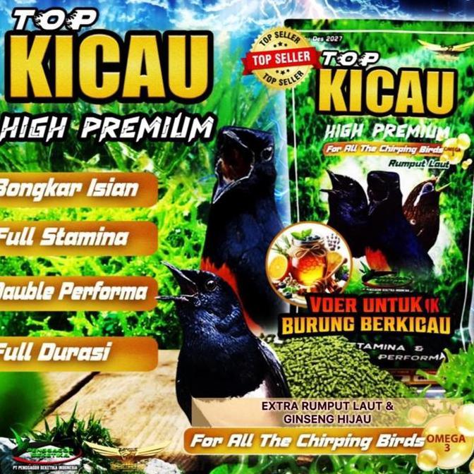 VOER TOP KICAU HIJAU RUMPUT LAUT MURAI BATU KACER BURUNG BERKICAU