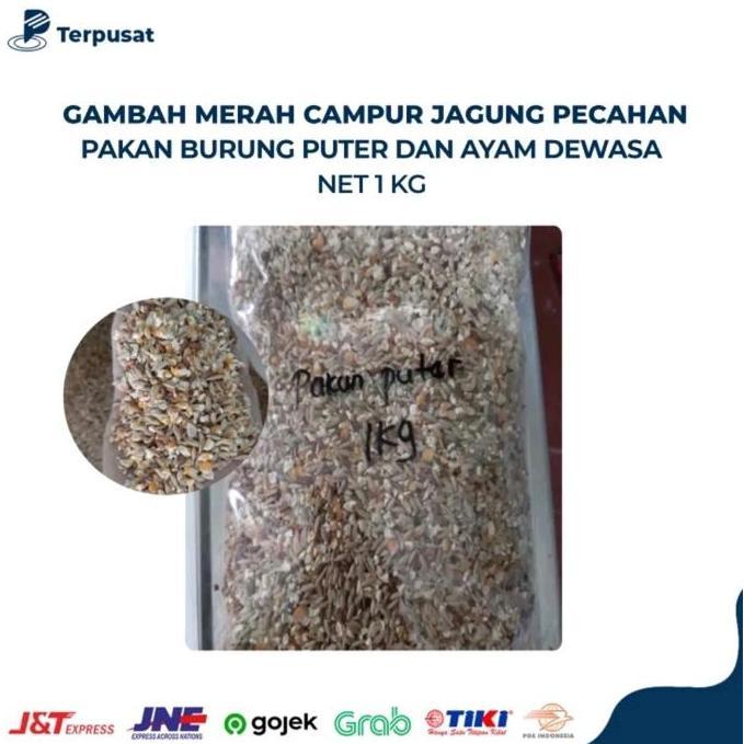 Per 1Kg Pakan Burung Tekukur Puter Campur Jagung Pecah Gabah & Beras Merah Nutrisi Seimbang untuk Pe