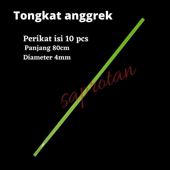 10 pcs TONGKAT  STIK ALAT PENYANGGA TANAMAN HIAS ANGGREK BUNGA 80 CM