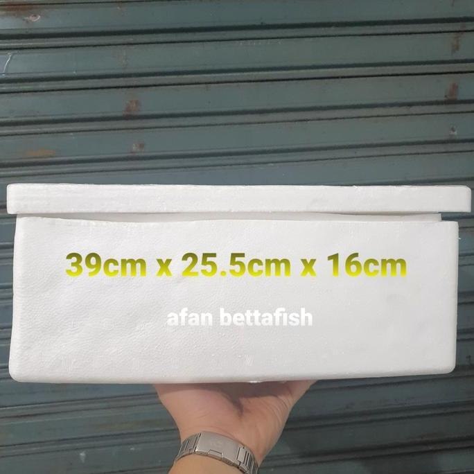 Styrofoam Box Kecil / Styrofoam Fish Box 5KG