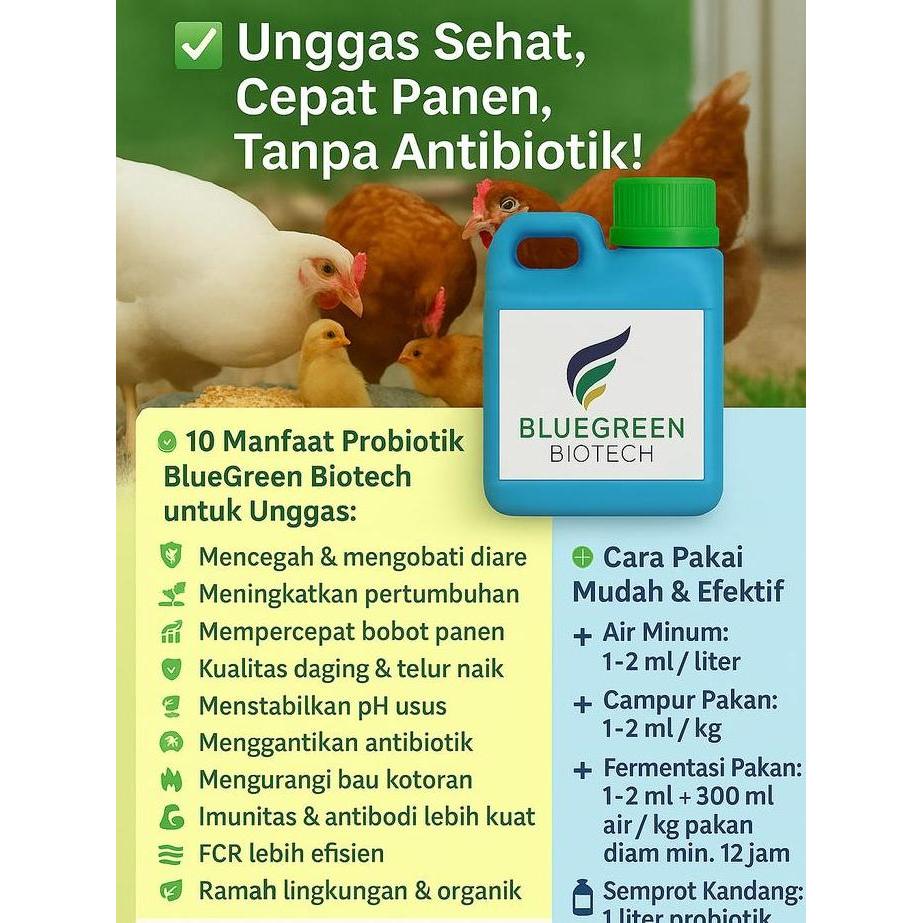 Probiotik Unggas Terbaik  BlueGreen Biotech PAN