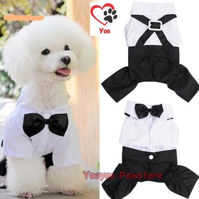 Male dog suit - baju pesta anjing kucing jantan