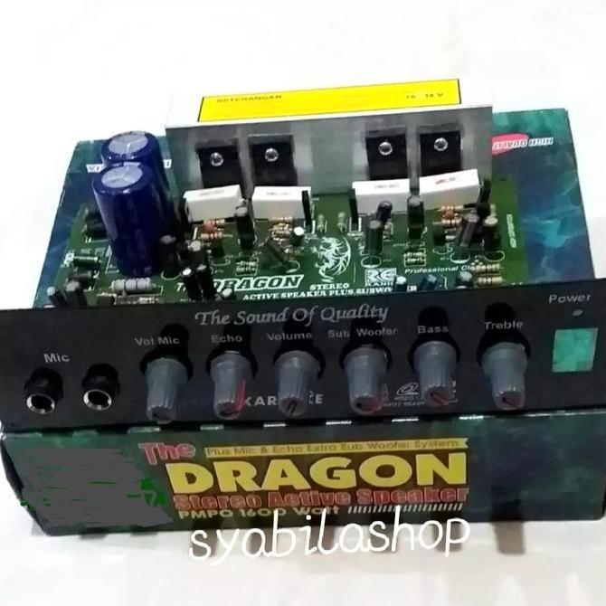 Weenew- Kit Aktif Speaker The Dragon Power Amplifier Stereo