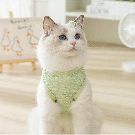 Baju Kucing dan Anjing Motif Lucu & Fashionable Kaos Hewan Peliharaan Murah & Nyaman Pet Shop Bahan 