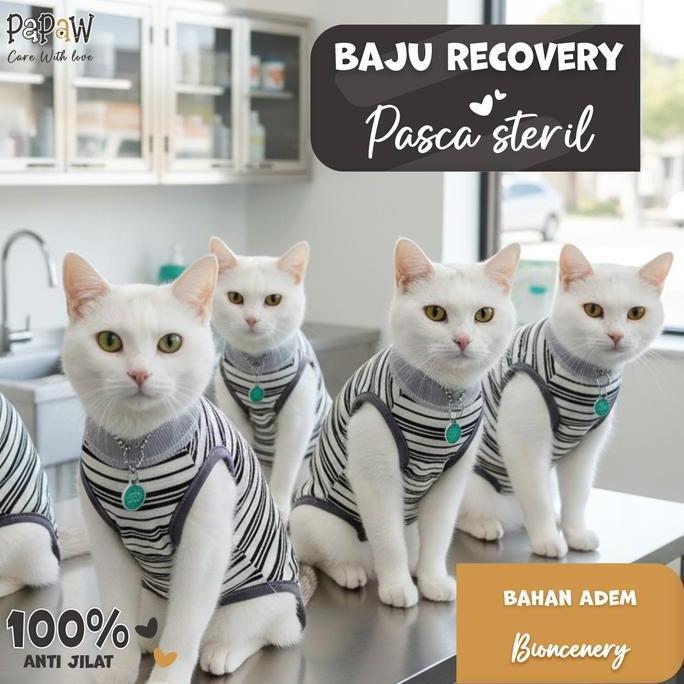 Baju Steril Kucing Anjing Betina Jantan Untuk Recovery Pasca Operasi