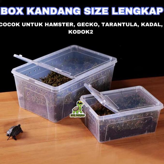 KANDANG BOX REPTIL HAMSTER KURA LEOPARD GECKO TARANTULA PACMAN ISOPOD KODOK DART FROG