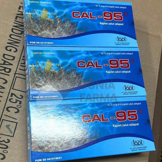 Mns- [Cal-95] Cal 95 Suplemen Calsium Kalsium Vitamin Tulang Dan Gi Multivitamin 1 Box 30 Kaplet Sal