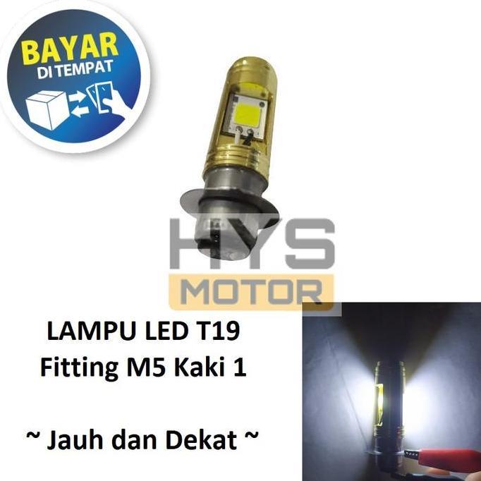 Bohlam Lampu Depan LED T19 M5 K1 Universal Motor Arus DC - Gold Bulat