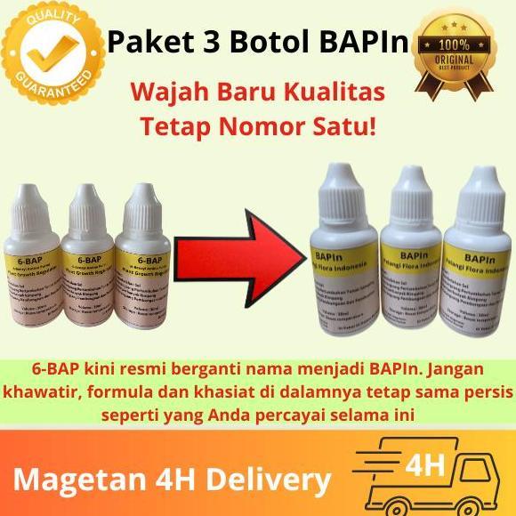 BARU PAKET 3 BOTOL BAP HORMON PEMBUNGAAN ANGGREK PERANGSANG TUNAS & BUNGA