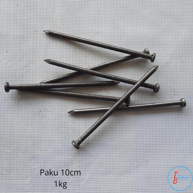 Paku 10cm untuk kayu (1kg)