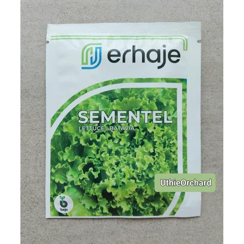 Benih Bejo Seed - Selada Batavia Sementel Kemasan 1000 pills
