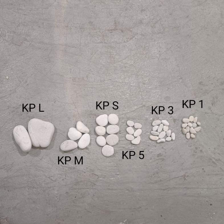New Batu Taman Putih 1Kg / Termurah / Batu Coral Putih Kupang / Batu Kupang / Batu Taman Putih