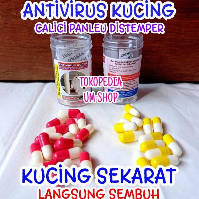 Obat Antivirus Kucing Calici Distaper Virus Panleukopenia
