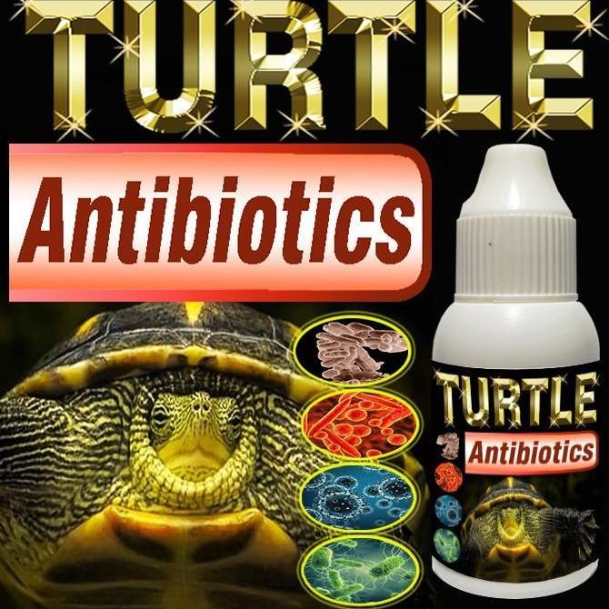 TURTLE ANTIBIOTICS SUPLEMEN KESEHATAN PERNAPASAN DAN PENCERNAAN REPTILE KURA-KURA AIR KURA RES BRAZI
