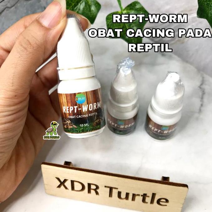 REPT-WORM OBAT CACING REPTIL KURA DARAT SULCATA FORSTENI PARDALIS BEST PRODUK