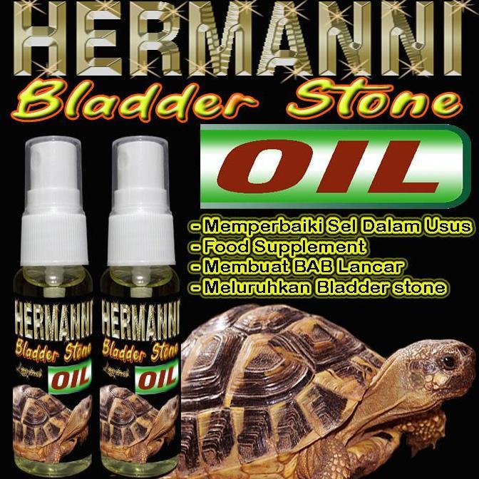HERMANNI BLADDER STONE OIL OBAT MELURUHKAN BS TORTOISE VITAMIN FOOD SUPLEMENT TORTOISE MELANCARKAN P