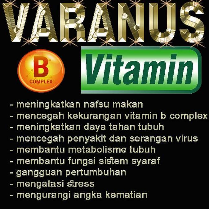 VARANUS VITAMIN BUBUK KAPSUL OBAT MENCEGAH KEKURANGAN B COMPLEX PENAMBAH NAFSU MAKAN MENGURANGI ANGK