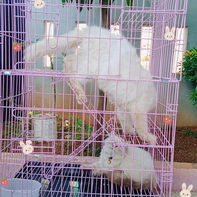 Pat- New- Kandang Kucing Lipat Tingkat 3/Kandang Besi Lipat/Kandang Kucing
