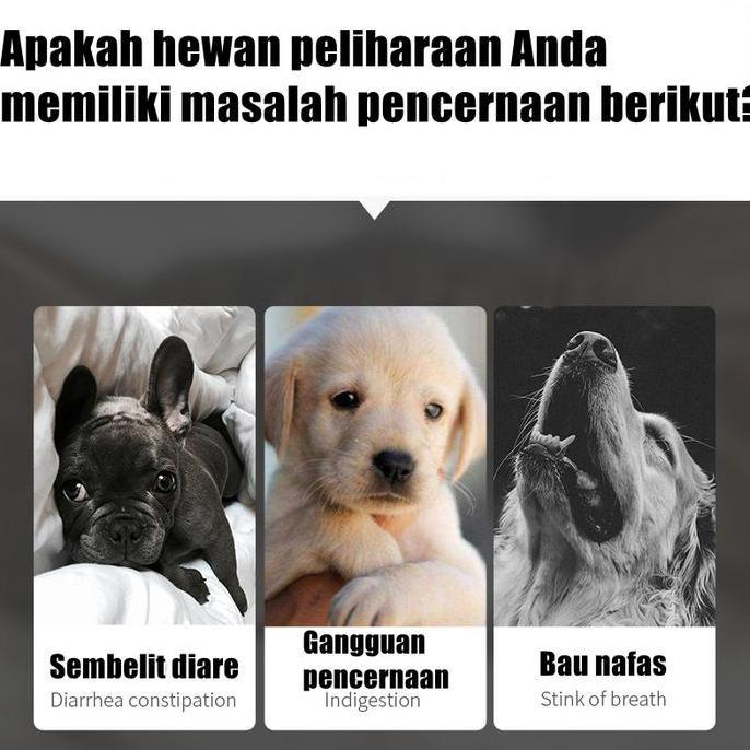 Vitamin Kucing/Probiotik Kucing/ Probiotic Tablet / Vitamin Kucing Masalah Pencernaan Untuk Diare, M