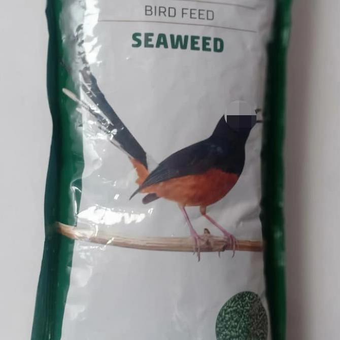 Gold Coin Seaweed