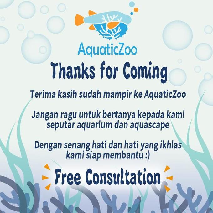 Fishup- Kandila Surface Skimmer Kd-350Z Kd350Z Kd 350 Z Aquascape Filter