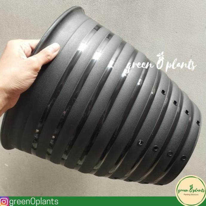 Pot Tawon Pirus 30 Hitam Berlubang