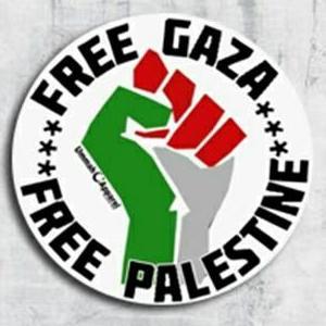POSTER HIASAN DINDING FREE PALESTINE FB27