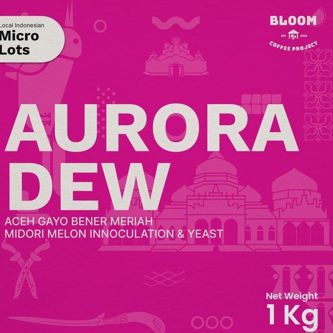 Biji Kopi Aceh Gayo Bener Meriah - Aurora Dew - Midori Melon - Green Beans