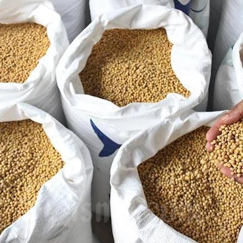 READY Kacang Kedelai Import 50 Kg/Kacang Kedelai Mata Hitam
