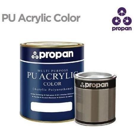CAT DUCO Polyurethane PROPAN PU PUL 765 2K Clear 5 Liter