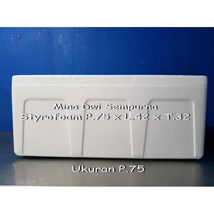Naggio- Styrofoam Box 30Kg-35Kg / Sterofoam Ikan Beku & Daging Beku/ Cool Box