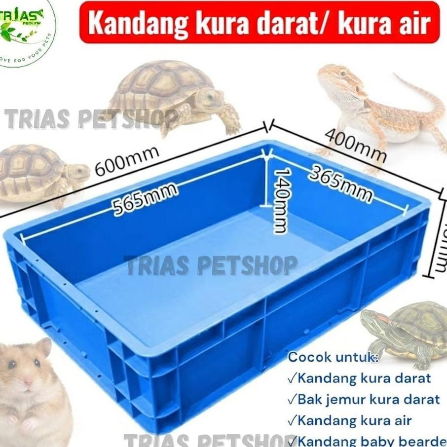 Kandang Kura Darat Box Plastik Tebal Cocok Untuk Sulcata Baby & Reptil Kecil-Kandang Reptil Serbagun