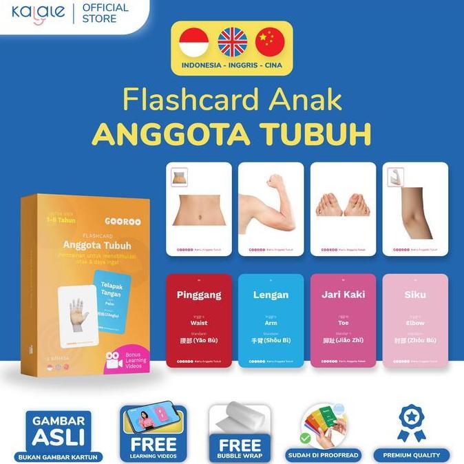 Flash Card Mainan Kartu Edukasi Anak Bayi Balita 1 2 3 4 5 6 Tahun Hewan Toys Gambar Realistis Bukan