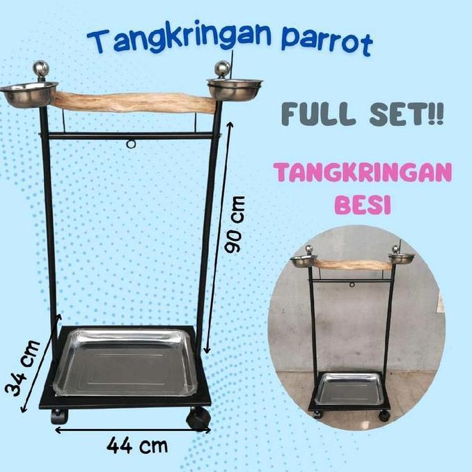 tangkringan burung parrot burung nuri kk tua