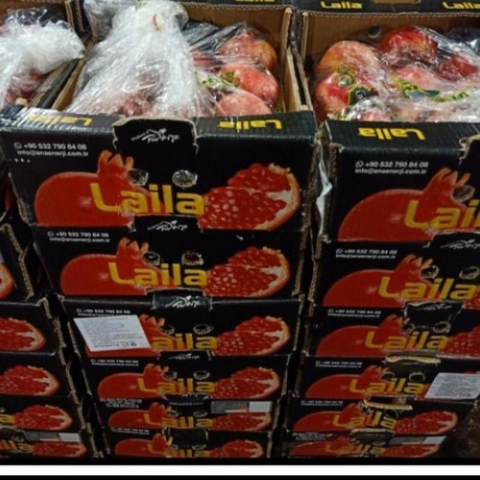 buah delima merah import Mesir EGYPT Harga pergardus buah-buahan segar