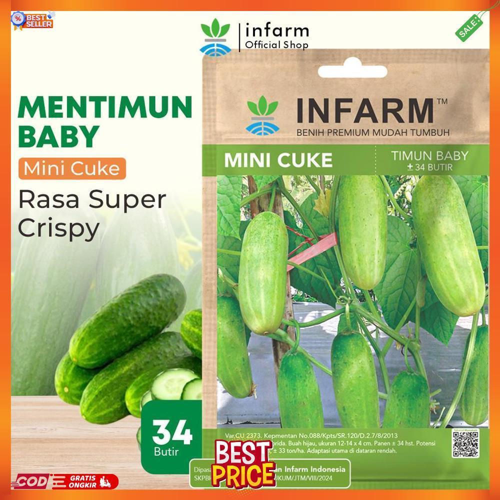 INFARM - Benih Mentimum Mini Cuke Mentimun Baby Benih Mentimun Super Bibit Timun Mini F1 Premium CD 
