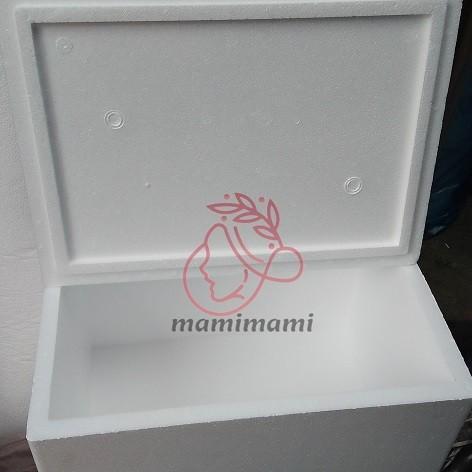 Sterofoam Box 52X37X34 Styrofoam Gg Gabus Kotak Makanan Beku Bandung