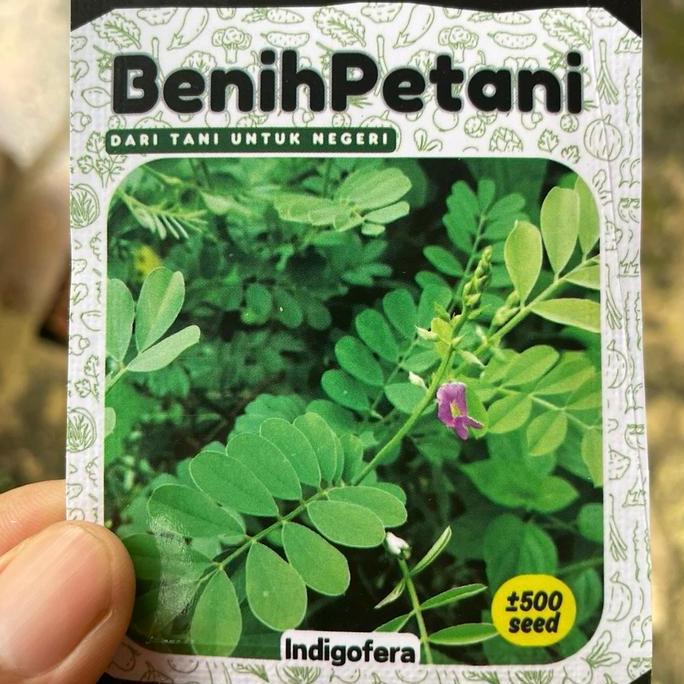 Promo 500 Benih Bibit Rumput Indigofera Rumput Pakan Ternak Modern Kaya Protein Nitrogen Fosfor Dan 