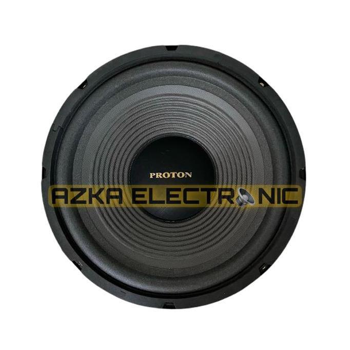 SPEAKER PROTON 10 INCH WOOFER 300W FORSALE!