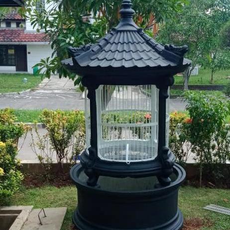 Kandang Beton Burung Beo, Ayam Kate, Jalak Bali, Jalak Hongkong, Dll