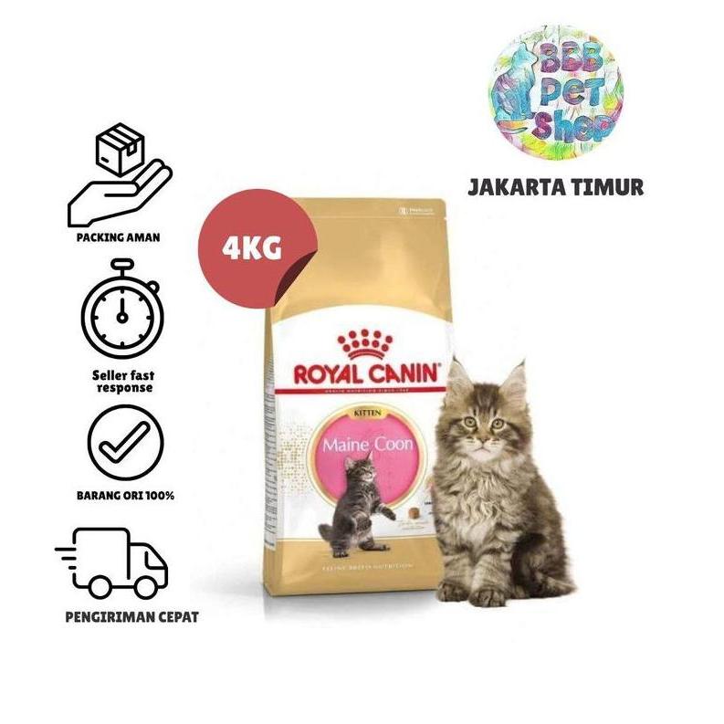 ROYAL CANIN KITTEN MAINE COON 4KG / ROYAL CANIN MAINE COON KITTEN