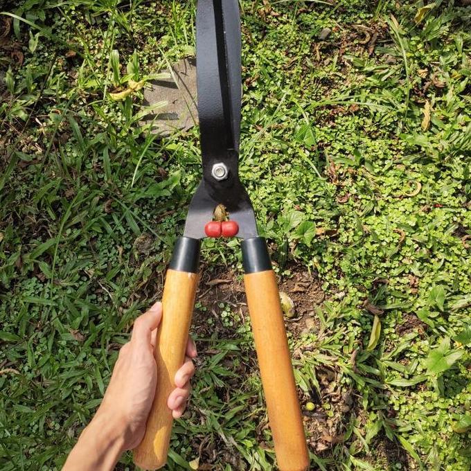 gunting pagar - gunting rumput pagar tanaman bonsai - gunting pohon pagar besar jumbo
