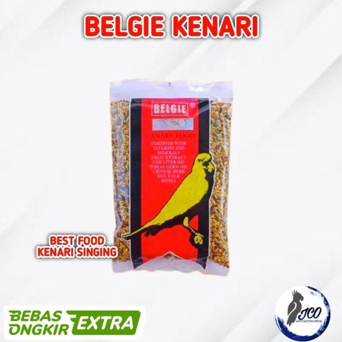 BELGIE KENARI MAKANAN BURUNG KENARI BELGIE KENARI BELGI KENARI murah